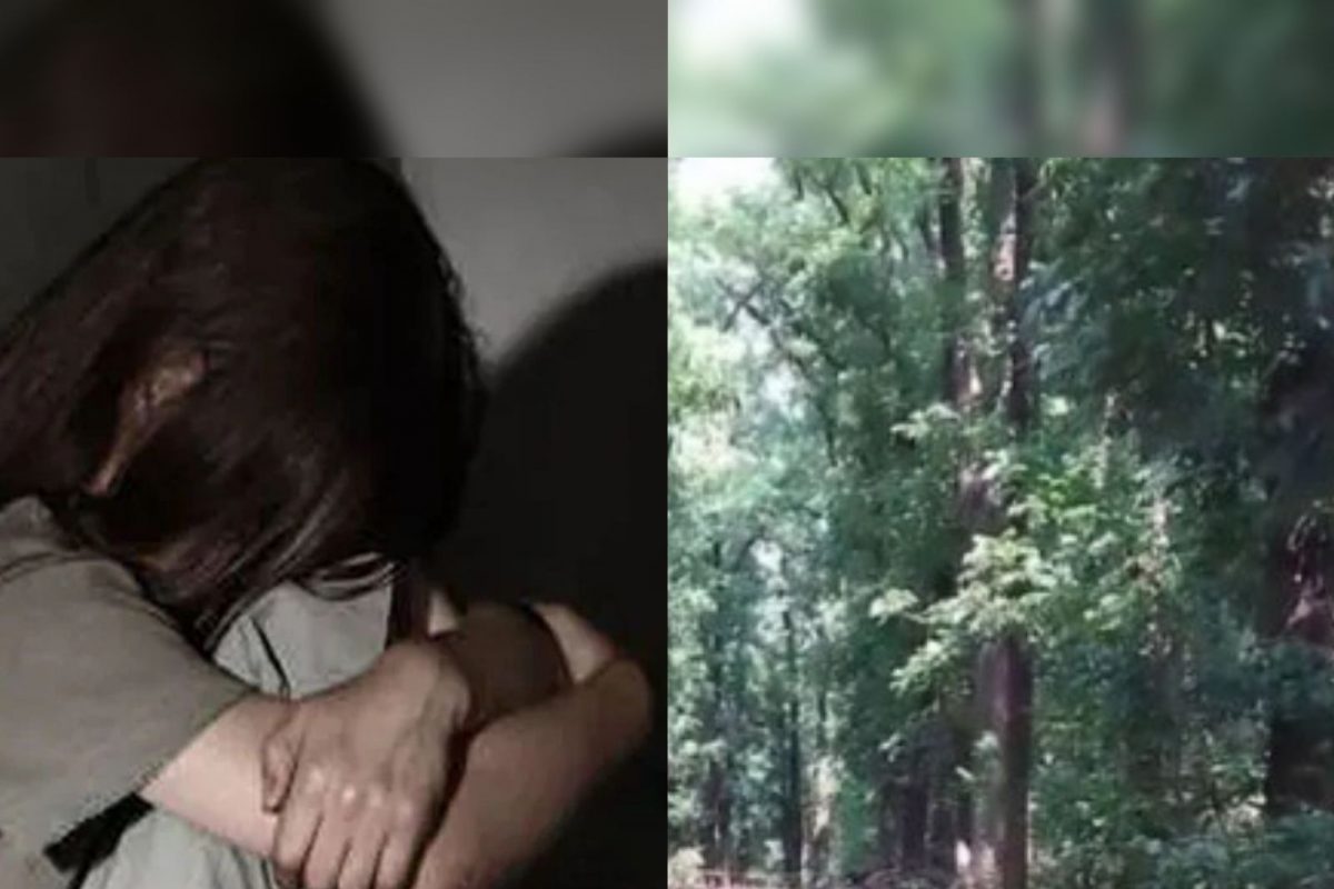 अपहरण करून जंगलात डांबून ठेवलं अन्...; अल्पवयीन मुलीसोबत महिनाभर सुरू होता भयंकर प्रकार