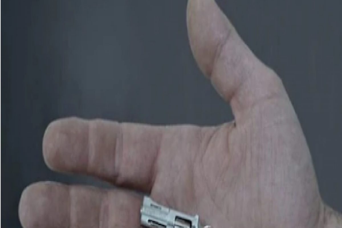 OMG! तयार झालीय जगातील सगळ्यात छोटी बंदूक, किंमत मात्र आहे मोठी