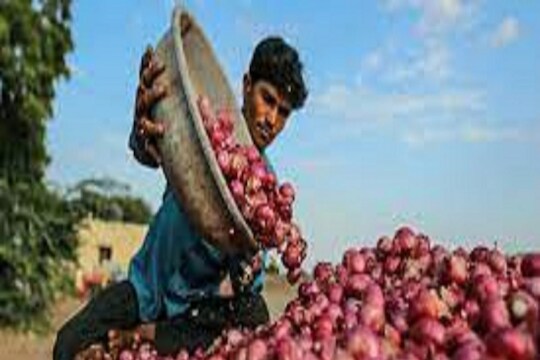अवकाळी पावसामुळे कांद्याचे मोठे नुकसान; कवडीमोल दरात विकण्याची शेतकऱ्यांवर वेळ