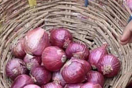 Onion Rate : व्यापाऱ्यांवर प्राप्तिकर विभागाच्या छाप्यांचा परिणाम? कांद्यांचे दर झाले इतके कमी