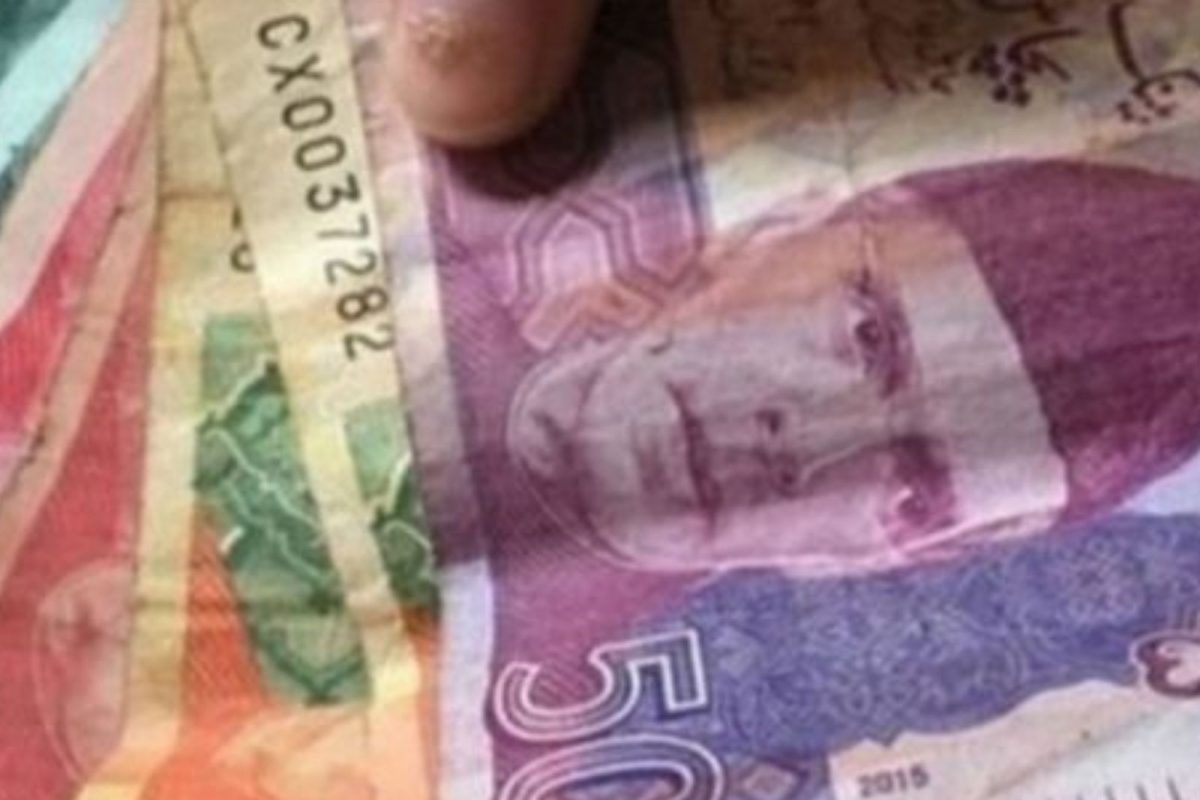 'महागाई वाढलीये तर कमी खा'; पाकिस्तानी मंत्र्याचा अजब सल्ला, जनता शॉक