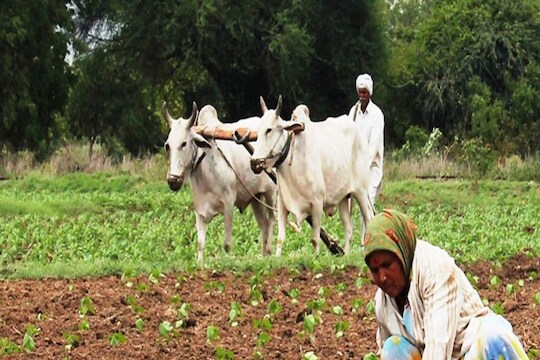 PM Kisan Mandhan Yojana: शेतकऱ्यांना आयुष्यभर मिळेल 3000 रुपये पेन्शन, वाचा किती द्यावा लागेल प्रीमियम