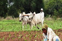 PM Kisan Mandhan Yojana: शेतकऱ्यांना आयुष्यभर मिळेल 3000 रु पेन्शन, वाचा सविस्तर PM Kisan Mandhan Yojana: शेतकऱ्यांना आयुष्यभर मिळेल 3000 रु पेन्शन, वाचा सविस्तर