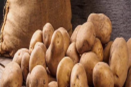 Potato for health : बटाटा खाल्ल्यानं वजन वाढतंच असं नाही; या हेल्दी पद्धतीनं खाण्याचे आहेत फायदे