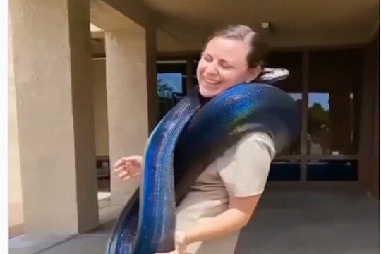 महाकाय अजगराने महिलेच्या मानेभोवती घातला विळखा आणि...; थरकाप उडवणारा VIDEO