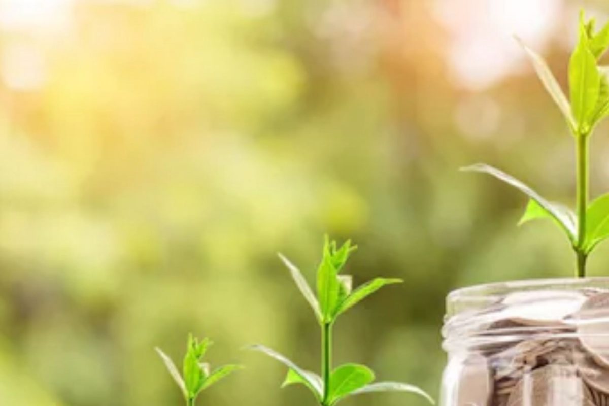 जबरदस्त! वयाच्या 16 वर्षी सुरू केलं Saving; 21 येईपर्यंत खरेदी केलं स्वत:च घर