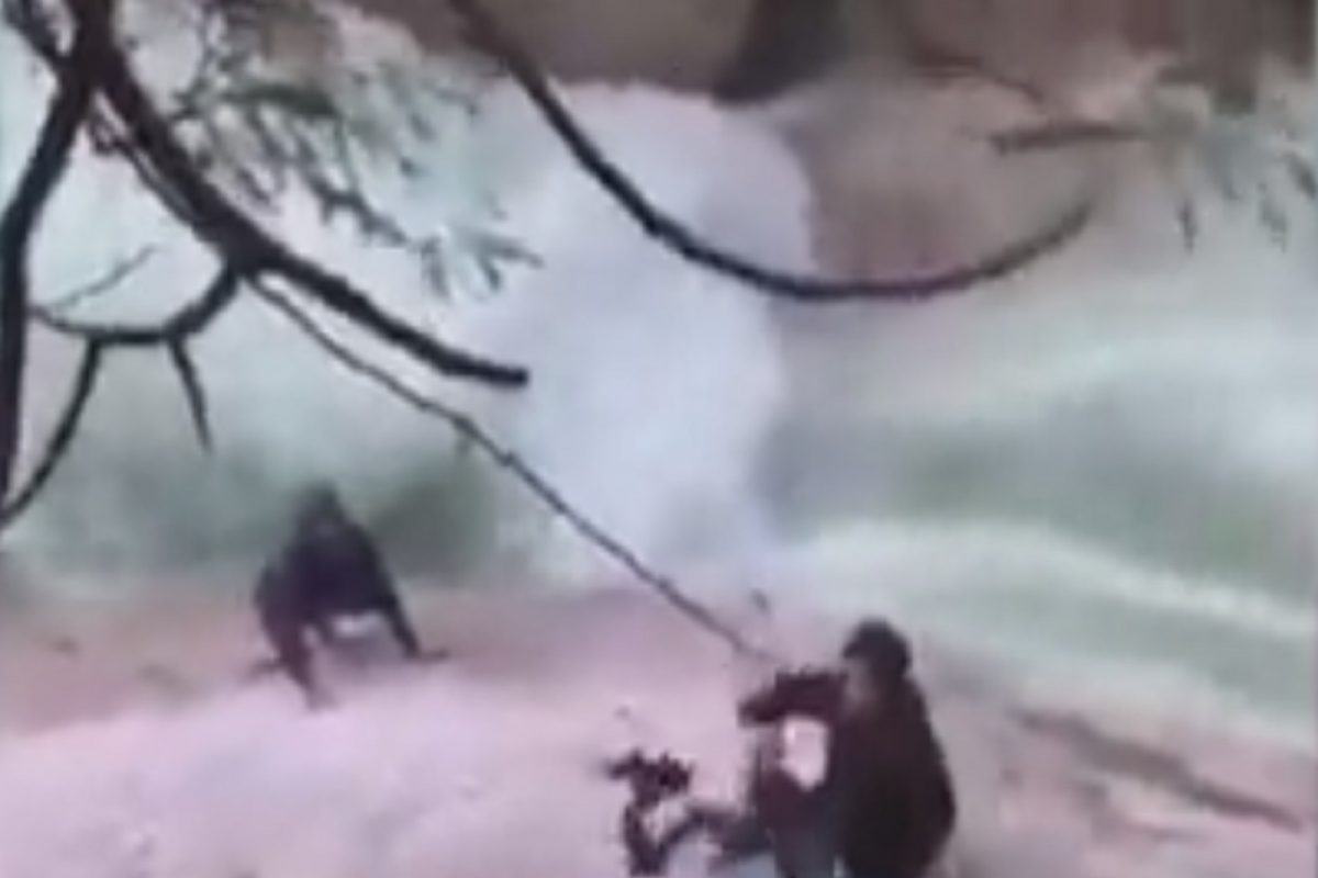 सन ऑफ सरदार! शीख बांधवांनी आपल्या पगडीने तरुणाला मृत्यूच्या दारातून खेचून काढलं; VIDEO पाहून कराल सॅल्युट