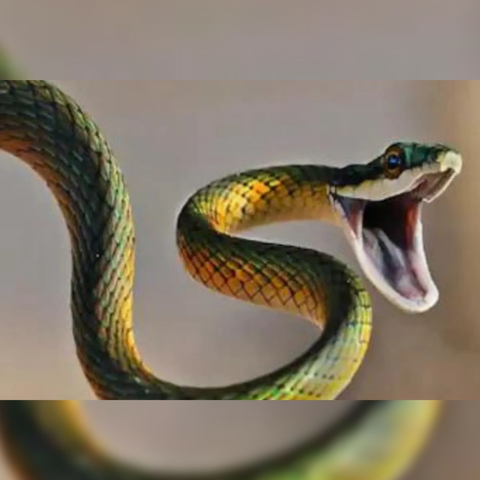 प्रतीकात्मक फोटो