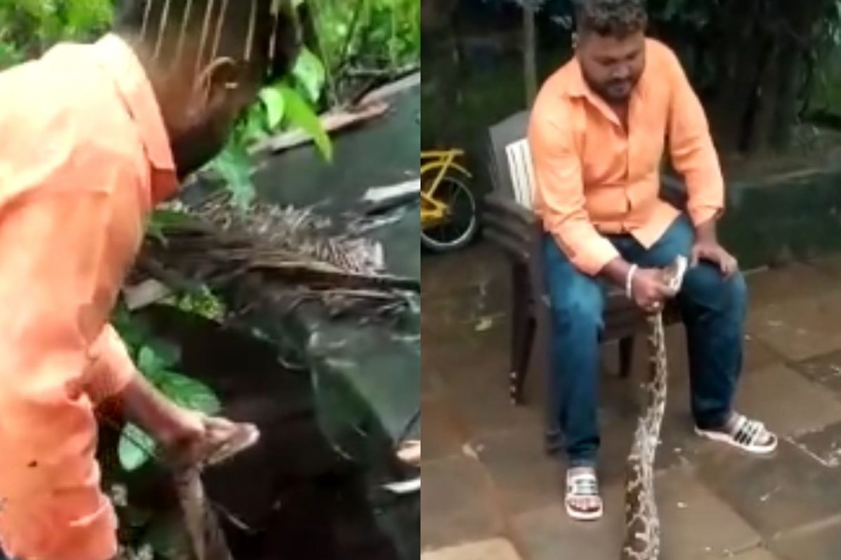 बाबो! हसत-खेळतं 14 फूटी महाकाय अजगराचं रेस्क्यू ऑपरेशन; VIDEO पाहून अंगावर काटा उभा राहील