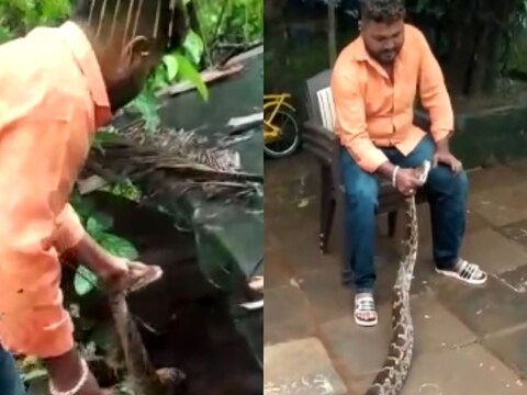 सर्पमित्राने कसं केलं रेस्क्यू..पाहा संपूर्ण घटना...