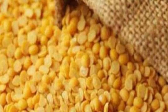 Tur Dal Health Benefits: रोजच्या जेवणात वरण खात नसाल, तर हे आधी वाचा..