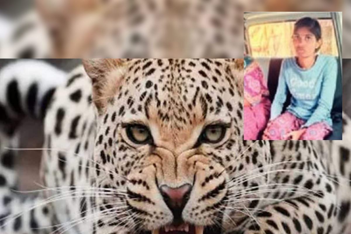 वृषाली नीळकंठराव ठाकरे असं बिबट्याने हल्ला केलेल्या तरुणीचं नाव आहे. (फोटो -लोकमत)