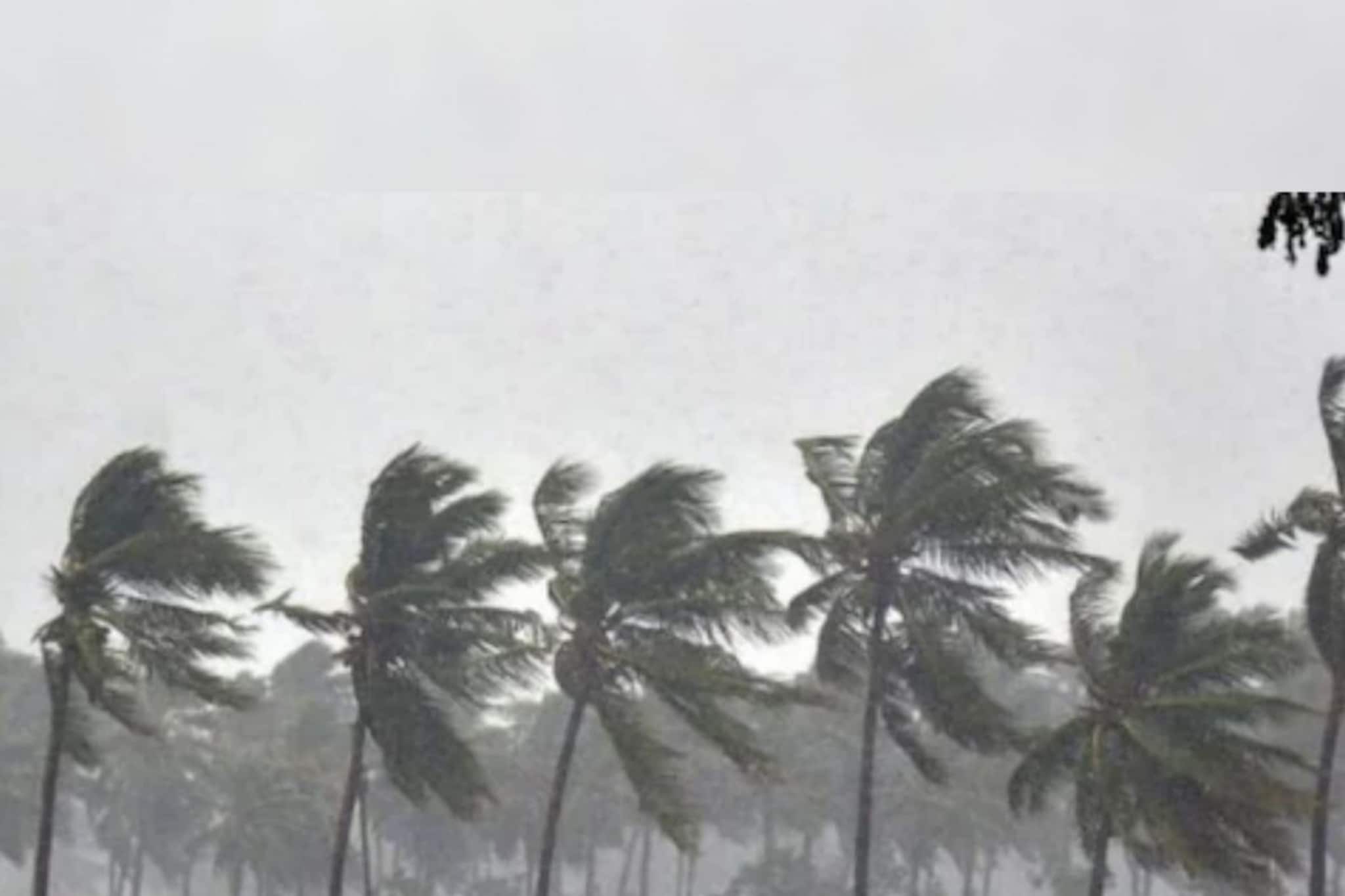 अर्ध्या महाराष्ट्रावर पावसाचं सावट; 19 जिल्ह्यांत वेगवान वाऱ्यासह कोसळणार सरी