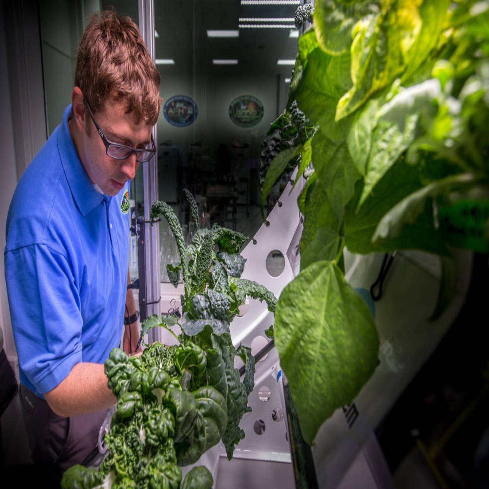 NASA, International Space Station, ISS, astronauts, Space Tacos, Green Chili grown in Space, ISS Grown vegetable, Megan McArthur, Twitter Account, Space AGENCY, Megan McArthur, green chili grown on ISS, Mars Mission, Science, Space Science, Space Exploration, interesting news, bizarre news, bizarre story, Weird News, viral news, world news, world news in hindi, strange news, odd news, shocking news, offbeat news, trending news