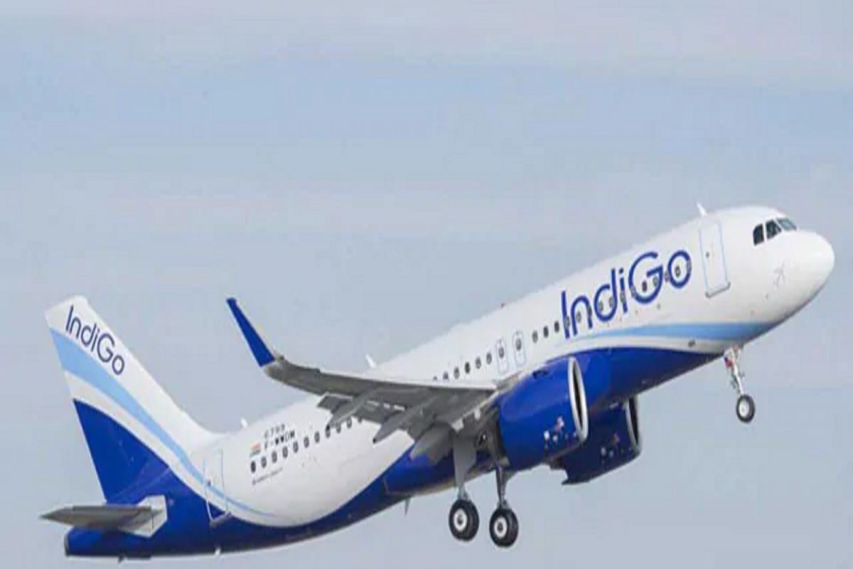 IndiGo Recruitment: इंडिगो एअरलाईन्समध्ये इंजिनिअर्ससाठी होणार पदभरती; अशा पद्धतीनं करा अप्लाय
