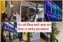 एक झाड वाचवण्यासाठी 25 कोटींची इमारत केली Modify, तयार झालं सुंदर घर; पाहा PHOTO