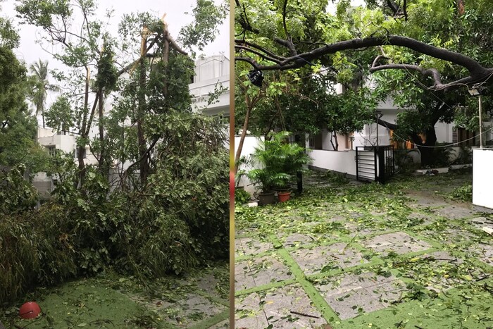 रजनीकांत यांच्या घराबाहेर झाडे लावण्यात आली आहेत.