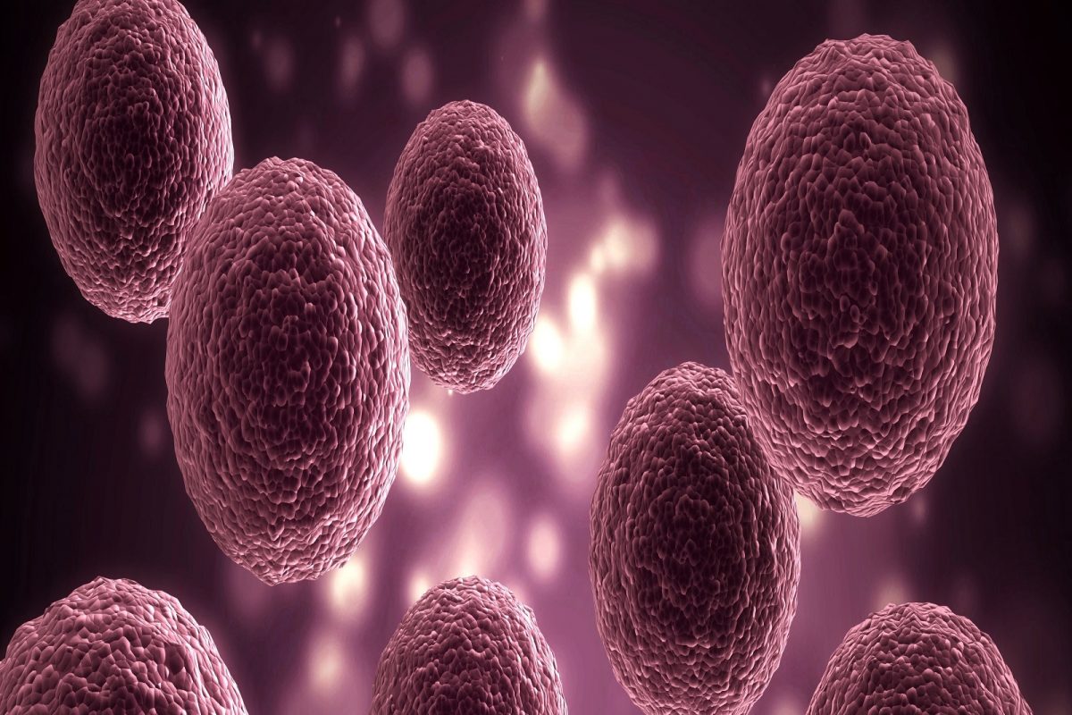No Covid People: काही व्यक्तींना Coronavirus ची लागण झालीच नाही; काय होतं नेमकं रसायन?