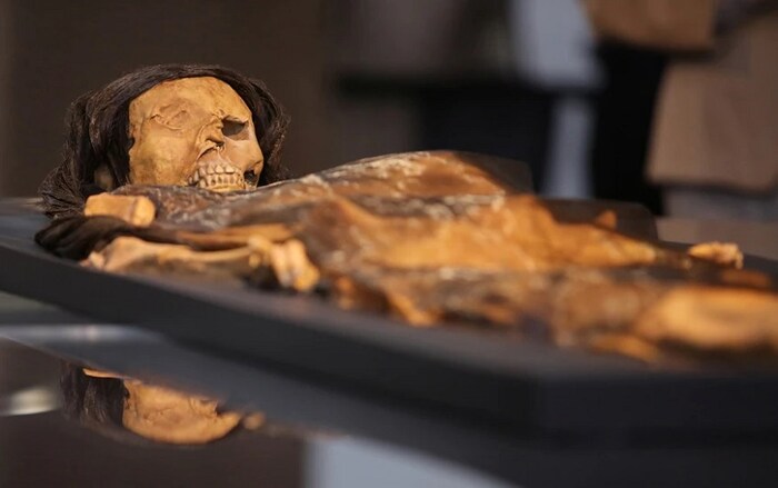 पेरू या देशातील लीमा शहराच्या परिसरात 800 वर्षांपूर्वीच्या एका mummy चा म्हणजेच मानवी सांगाड्याचा शोध लागला आहे. त्याचबरोबर या mummy बरोबर भाजीपाला आणि काही हत्यारंदेखील सापडली आहेत.