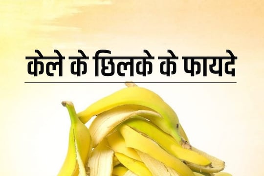 Banana Peel Benefits : केळीच्या सालींमध्येही असतात इतके पोषक घटक, वाचून केळासोबत सालही खाल