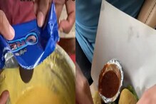 जगावं की मरावं? ही विचित्र डिश पाहून चाहत्यांना पडला प्रश्न, पाहा VIDEO जगावं की मरावं? ही विचित्र डिश पाहून चाहत्यांना पडला प्रश्न, पाहा VIDEO