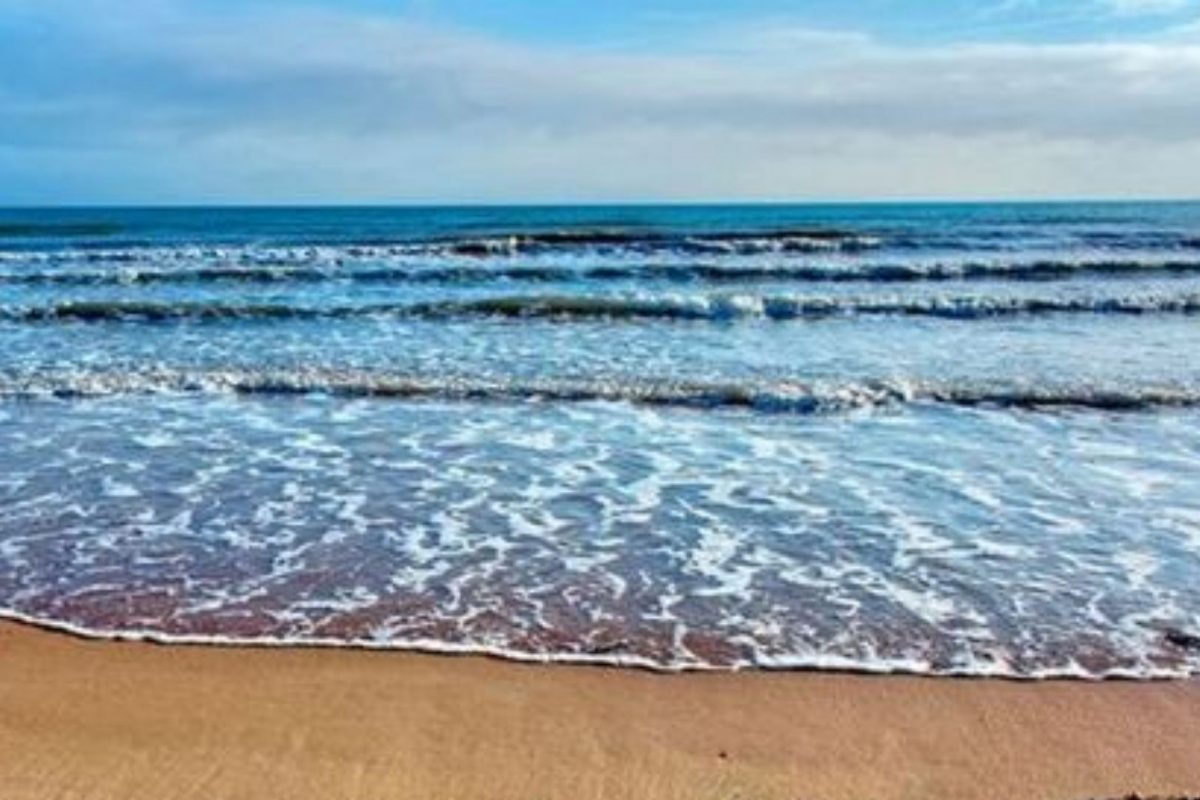 Nostradamus Predictions for 2022 : दुष्काळ, अणुबॉम्ब आणि उपासमार; नॉस्ट्राडॅमसची चिंता वाढवणारी भविष्यवाणी