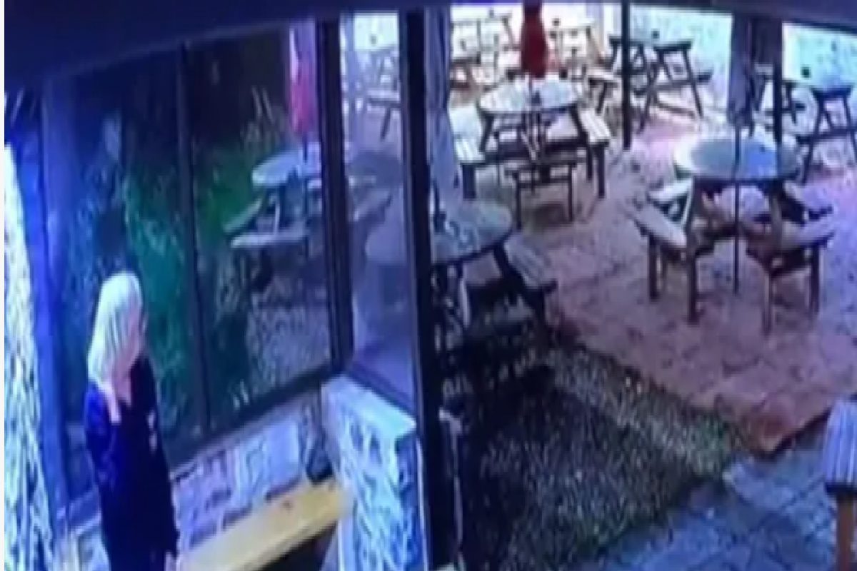 सिगरेटमुळे वाचले प्राण, डोळ्यांदेखल कोसळलं भलंमोठं झाड; पाहा, थरारक VIDEO