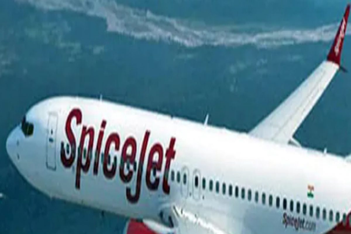 आता EMI वरही काढता येणार विमानाचं तिकीट, Spicejet ची खास सुविधा