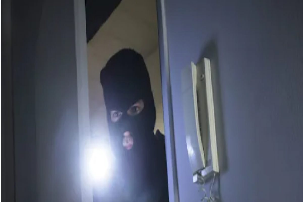 हे आहेत सर्वात चलाख चोर! VIDEO पाहून व्हाल थक्क