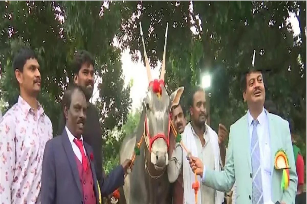 अबब! कृषी मेळाव्यात तब्बल 1 कोटींचा बैल, एवढ्या किंमतीमागे आहे मोठं कारण