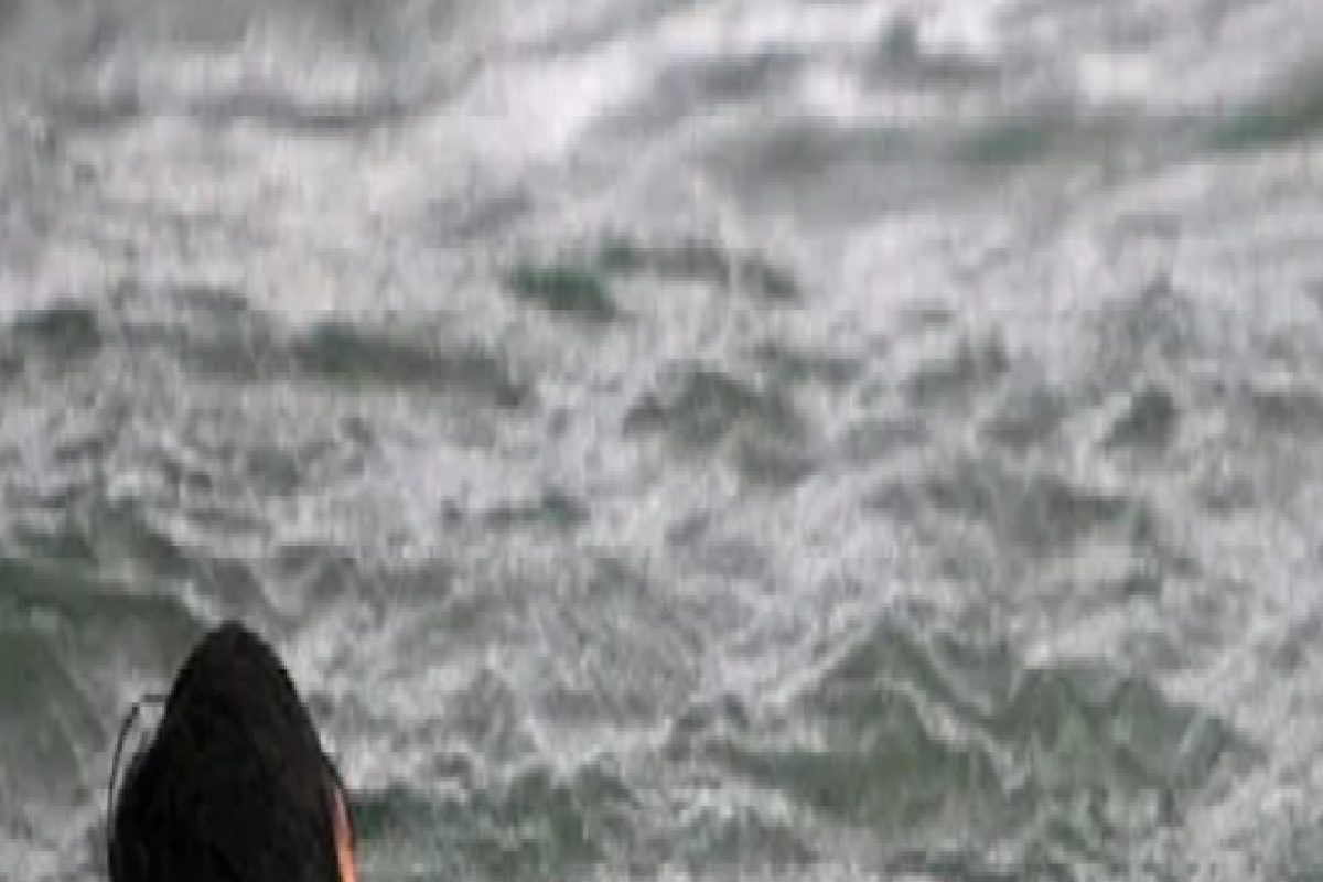 पाण्यात बुडत होता कुत्रा, जीवावर खेळत माणसानं वाचवले प्राण; पाहा VIDEO