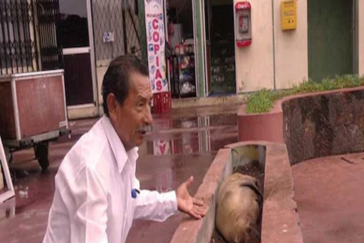 OMG! या अवलियानं जमवल्या 10 लाख सिगरेट; वाचा, फिटनेसची अनोखी कहाणी