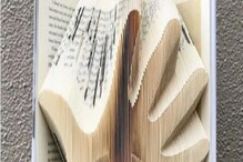 पुस्तकांच्या पानांचं त्यानं असं काही केलं, की पाहणारे झाले मंत्रमुग्ध! पुस्तकांच्या पानांचं त्यानं असं काही केलं, की पाहणारे झाले मंत्रमुग्ध!