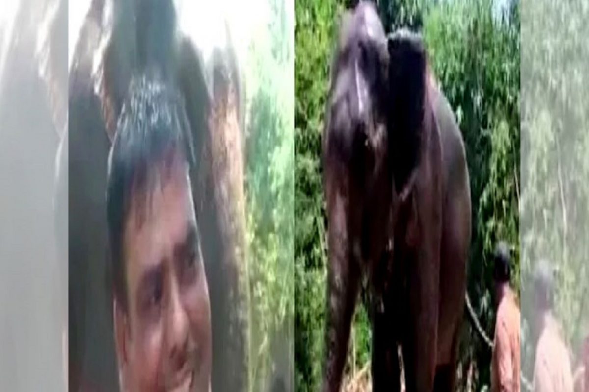 हत्तीच्या नावावर कोट्यवधींची संपत्ती करणाऱ्या 'हाती काकांची' गोळ्या झाडून हत्या