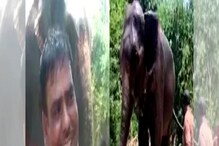 हत्तीच्या नावावर कोट्यवधींची संपत्ती करणाऱ्या 'हत्ती काकांची' गोळ्या झाडून हत्या हत्तीच्या नावावर कोट्यवधींची संपत्ती करणाऱ्या 'हत्ती काकांची' गोळ्या झाडून हत्या