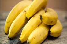 Banana for health: हंगाम कोणताही असो, एक केळदेखील खाण्याचे आहेत अनेक फायदे Banana for health: हंगाम कोणताही असो, एक केळदेखील खाण्याचे आहेत अनेक फायदे