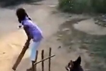 VIDEO कुत्र्याचा अप्रतिम खेळ पाहून सचिन तेंडुलकर भलताच Impresse