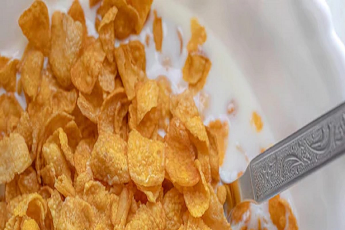 Business Idea :'या' व्यवसायातून दररोज मिळू शकतं 4 ते 5 हजार रुपये उत्पन्न