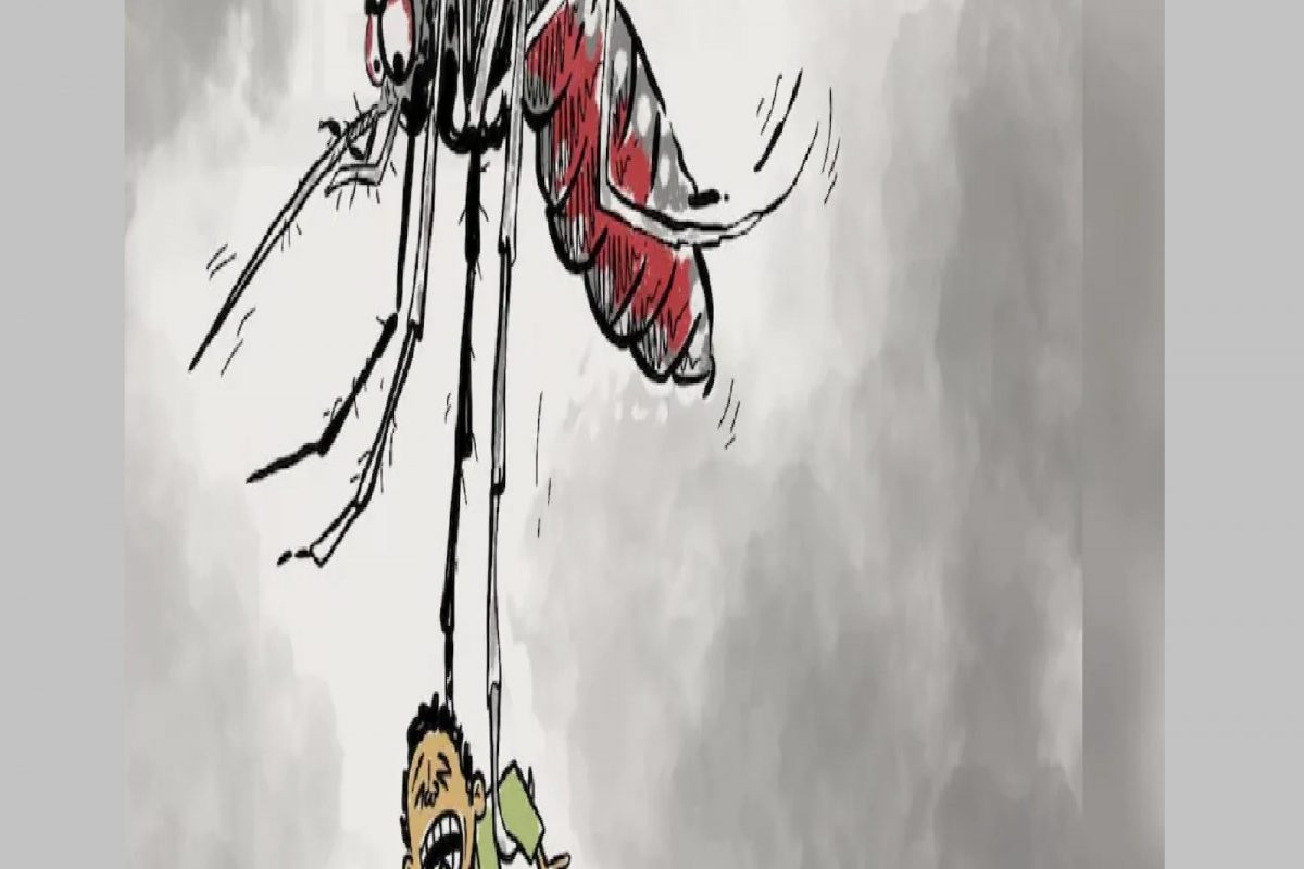 Corona नंतर देशातल्या 9 राज्यात डेंग्यूचा कहर, आरोग्य मंत्रालयानं पाठवलं पथक