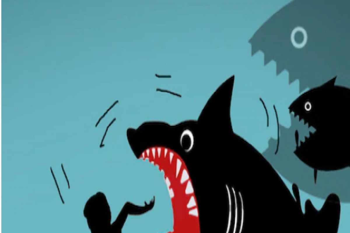 इकडे माशा, तिकडे मासे! मधमाशांपासून वाचण्यासाठी पाण्यात उडी, माशांच्या हल्ल्यात मृत्यू