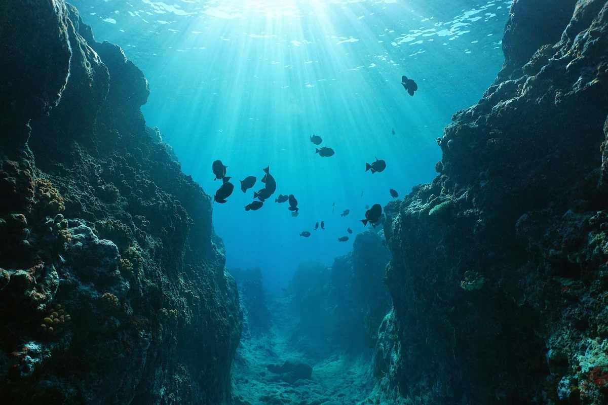 महासागरांच्या (Oceans) क्षमतेकडे नेहमीच दुर्लक्ष केले गेले आहे, हे या वस्तुस्थितीद्वारे दिसते की औद्योगिकीकरणाच्या काळापासून, महासागरांनी स्वत: 93 टक्के मानव-निर्मित उष्णता शोषली आहे. त्यात मानवाने निर्माण केलेल्या एकूण कार्बन डायऑक्साइड (CO2) चा एक तृतीयांश भाग आहे. याचे परिणाम खूप खोलवर होते. यामुळे पाण्याचा थर्मल विस्तार (Thermal Expansion) झाला, ज्यामुळे समुद्राची पातळी वाढली, महासागरांचे आम्लीकरण झाले, ऑक्सिजनचं नुकसान झालं आणि अनेक सागरी प्राण्यांना त्यांचा अधिवास सोडावा लागला. यातून एक धोका असा होता की त्यामुळे महासागरांची वायू शोषण्याची क्षमता कमी झाली. (प्रतिकात्मक फोटो: शटरस्टॉक)