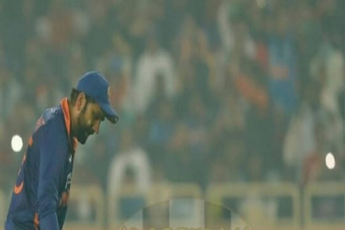 IND vs NZ : भारताचा 'जार्व्हो', मॅच सुरू असतानाच फॅन रोहितजवळ आला आणि... अशी होती हिटमॅनची रिएक्शन