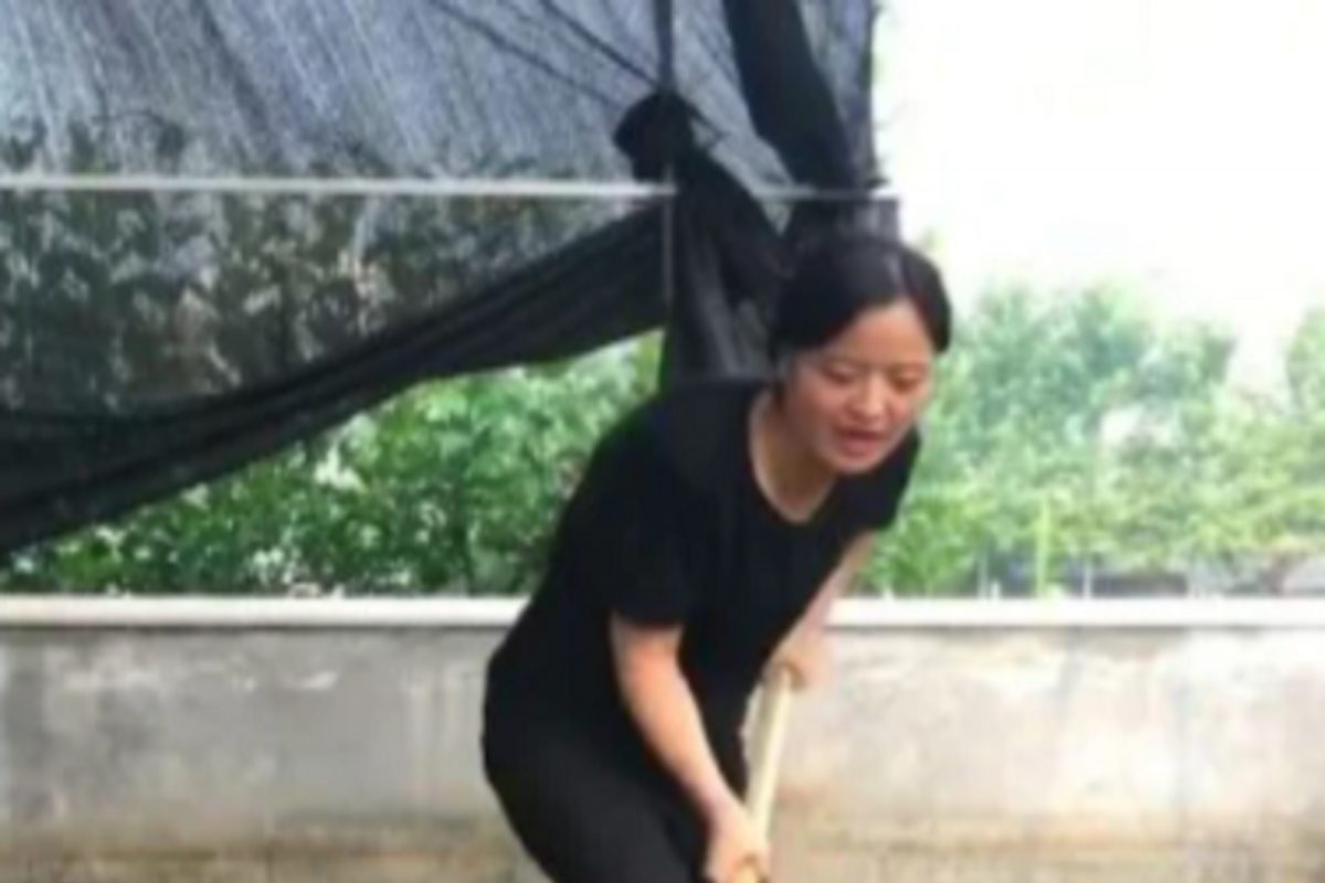 VIDEO: 'आता ही पुन्हा कोरोना आणणार...', घराच्या छतावर विंचूची शेती करताना दिसली चायनीज मुलगी