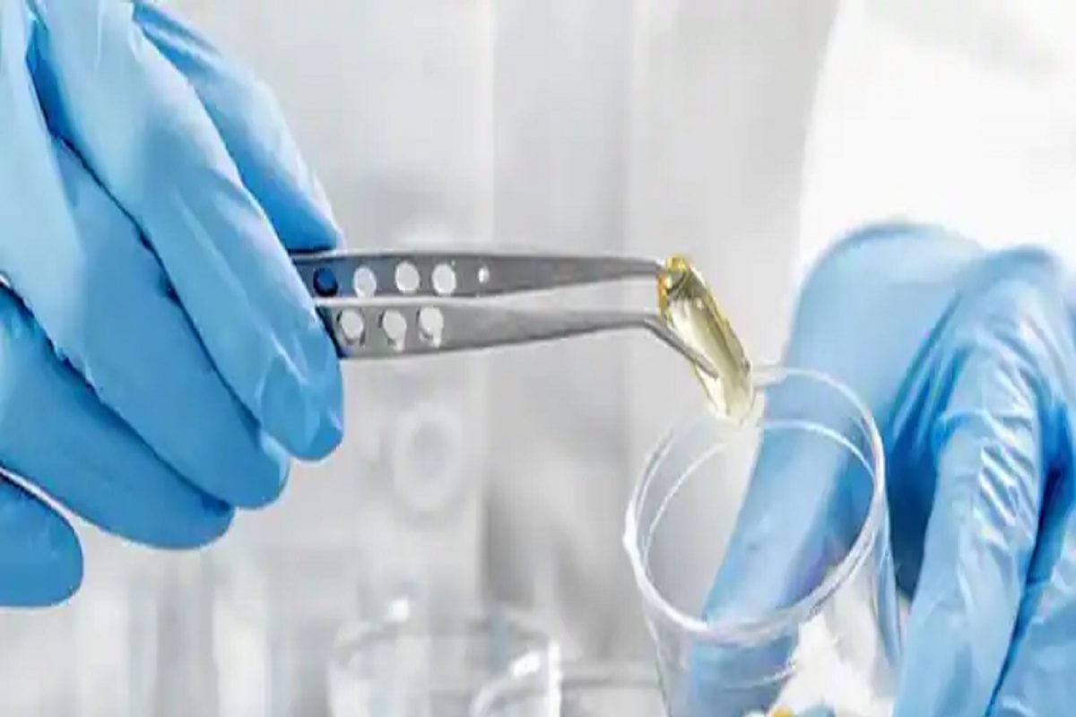 Sigachi Industries शेअरमध्ये लिस्टिंगच्या दुसऱ्या दिवशी तेजी कायम, गुंतवणूकदारांची बंपर कमाई