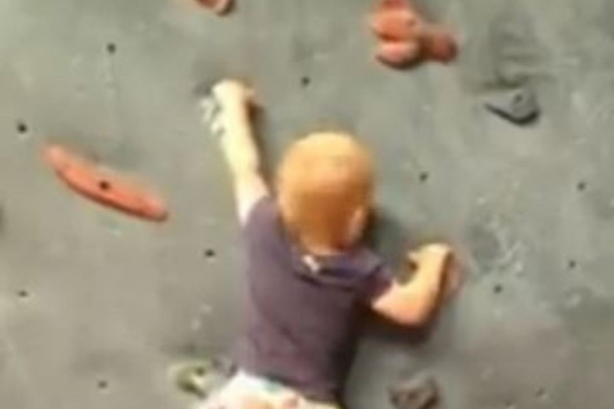 भिंतीवर चढण्याचा प्रयत्न करत होता चिमुकला; आनंद महिंद्रांनी VIDEO शेअर करत दिलं खास कॅप्शन