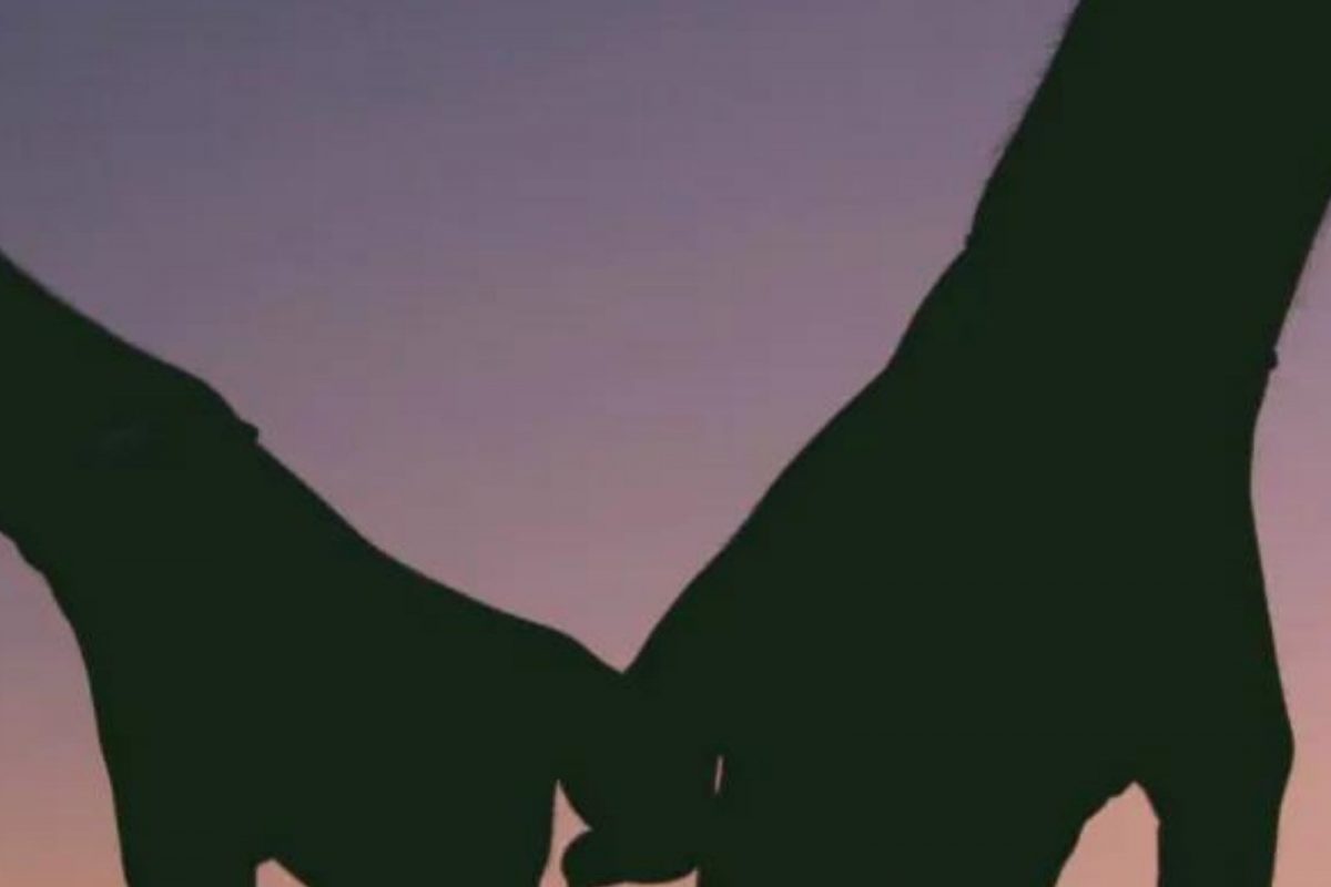 रिक्षा चालकासोबत पळाली करोडपतीची बायको; पैसे संपताच घरी परतली, पतीचा निर्णय ऐकून पोलिसही चकित