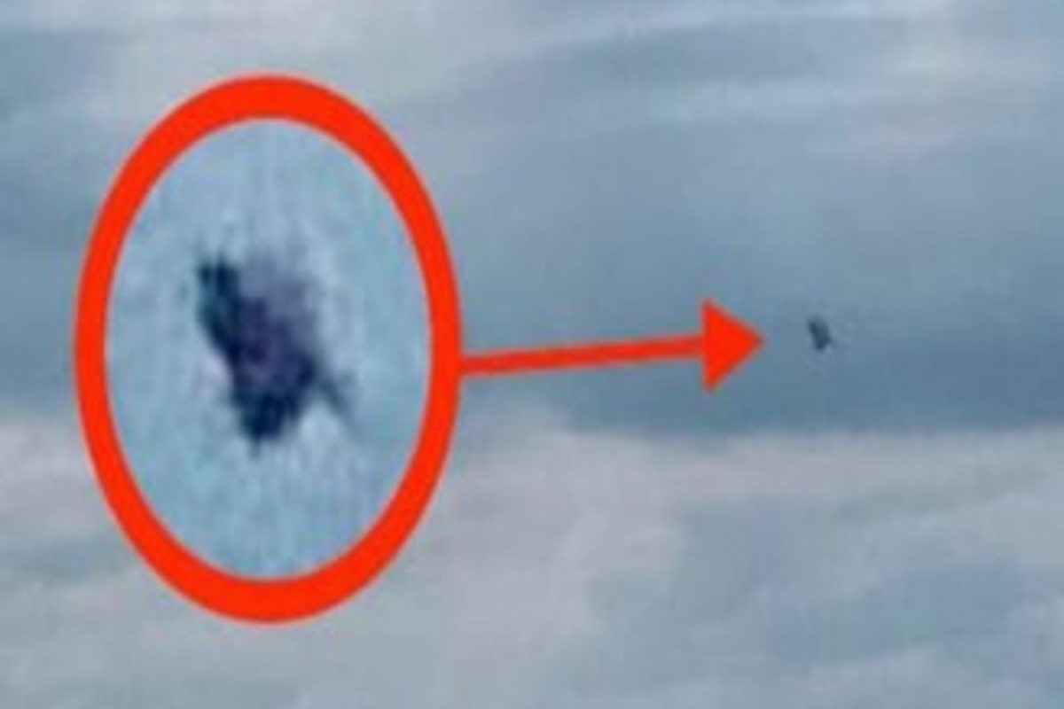 पाण्यात नव्हे तर चक्क आकाशात उडताना दिसला मासा; तज्ज्ञांनी केला अजब दावा