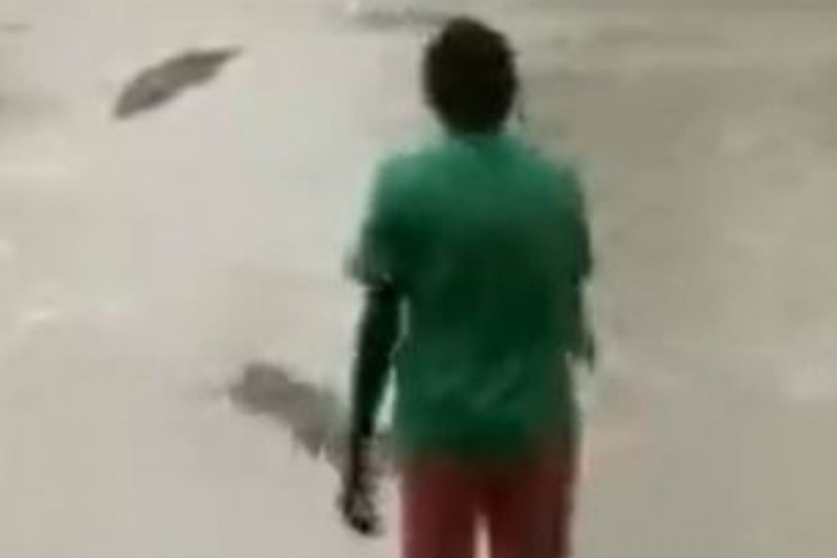 VIDEO : हल्ला करण्यासाठी मगर समोर येताच महिलेनं काढली पायातली चप्पल अन्...; पाहा पुढे काय झालं