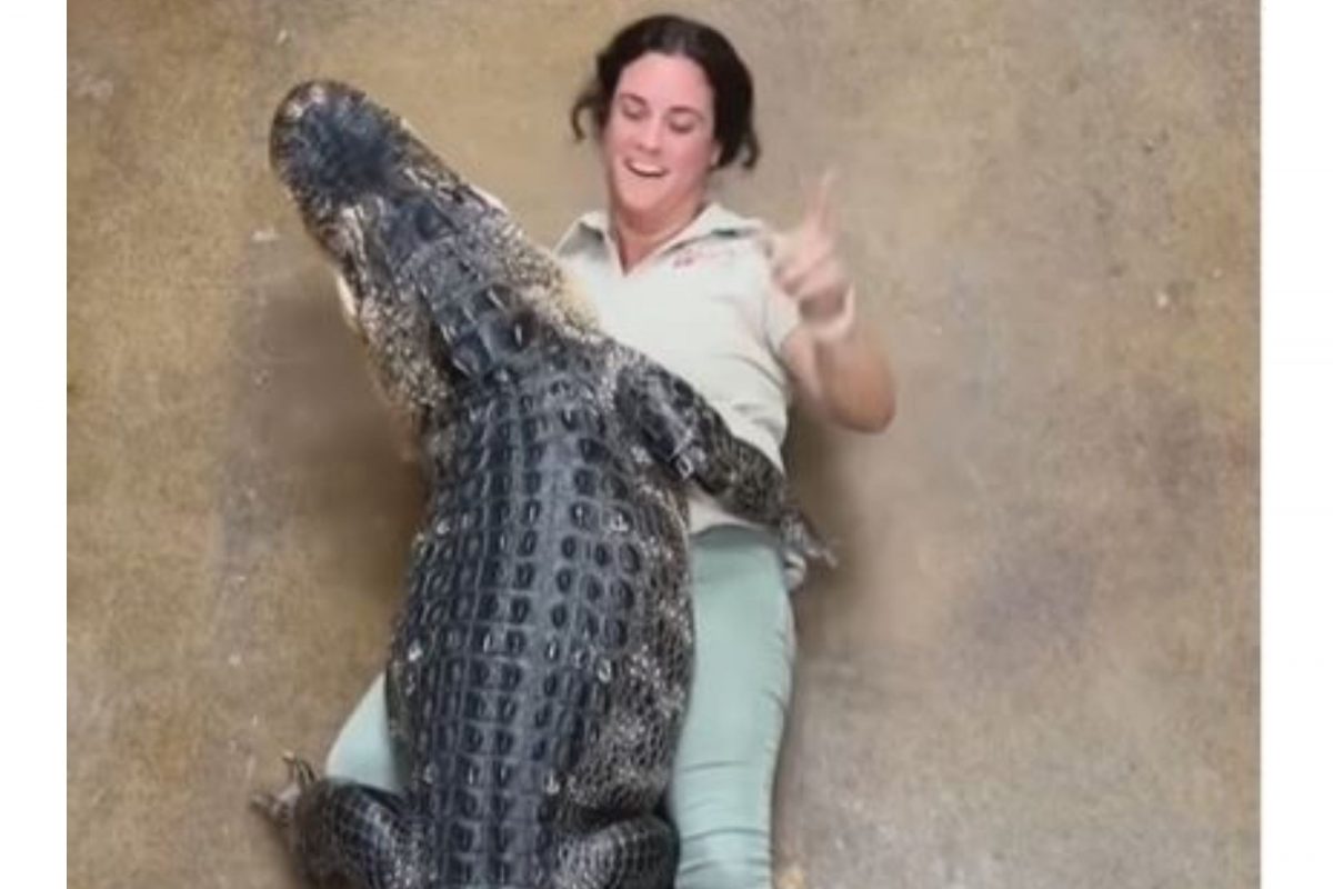 OMG! महिलेनं भल्यामोठ्या मगरीला मारली मिठी; अंगावर काटा आणणारा VIDEO