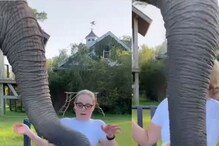 कलिंगड खाणाऱ्या महिलेजवळ पोहोचला भूकेलेला हत्ती अन्..; VIDEO पाहून येईल हसू